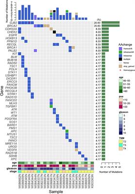 Germline Mutations in Patients With Early-Onset Prostate Cancer